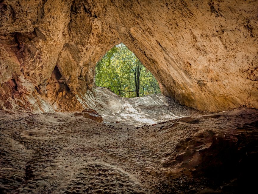 Inside a large, dark cave with rugged, irregular rock formations lining the ceiling and walls, the natural stone surface exhibiting varied textures and shades of grey and brown. The cave features a se